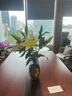 傲石 水養(yǎng)玻璃花瓶擺件客廳插花干花透明北歐現(xiàn)代簡約輕奢ins風格餐桌 灰琥珀三件套 曬單實拍圖