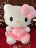 吉吉熊hellokitty凱蒂kt貓公仔玩偶貓咪毛絨玩具抱枕情人節女友生日禮物 粉色天使kt貓 55cm 曬單實(shí)拍圖