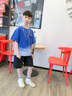 諾佳微淇男童夏季套裝2025新款兒童短袖夏裝運動(dòng)中大童衣服男孩帥氣童裝潮 藍色 160 曬單實(shí)拍圖