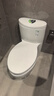 科勒（KOHLER）馬桶五級(jí)旋風(fēng)連體座便器全包連體馬桶家用節(jié)水靜音大沖力馬桶5697 水漾輕奢款3869T 305/300mm 曬單實(shí)拍圖