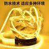 拉伯塔（LABOT）led燈帶中性光戶外防水工程家裝商用展廳超亮雙排燈條5730大燈珠 50米裝 雙排5730-120珠﹣帶5插頭 【配卡扣款】220V中性光4000K 曬單實(shí)拍圖