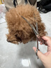 柒哦狗狗剪毛專用剪刀寵物美容剪刀修毛剪刀套裝彎剪泰迪剪狗毛神器 7寸彎剪【適用弧度修剪】 曬單實(shí)拍圖