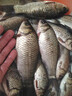 骉祥純正蝦粉釣魚(yú)南極磷蝦超濃腥餌料誘魚(yú)添加劑黑坑野釣鯽鯉魚(yú)餌e蝦粉1瓶【500ml】 曬單實(shí)拍圖