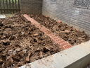 菜地專用生石灰粉種菜用土菌清殺蟲驅(qū)防蟲消毒清園殺菌劑改良土壤 10袋【買5 送5】土壤殺蟲殺菌 曬單實拍圖