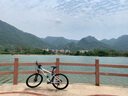 格萊仕TYPHON臺風四代26寸27.5寸29寸油壓碟剎減震線控前叉成人山地車 27.5