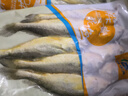 當(dāng)天海捕新鮮小黃花魚新鮮黃花魚燒烤生鮮黃魚深海小黃魚活魚速凍 一斤8-10條【1000克】 曬單實(shí)拍圖
