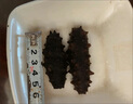 遼參大連冷凍海參有機遼參免泡發(fā)鮮水產(chǎn)非即食生鮮禮盒固態(tài)物85%以上 1斤 22-24只 曬單實拍圖