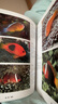 魚(yú)書(shū) 印度洋—太平洋珊瑚礁生物（900種海洋生物+1000張高清全彩圖片，一分鐘認識海洋生物） 曬單實(shí)拍圖