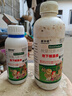耕豐旺根莖膨大素紅薯地瓜土豆山藥蘿卜花生根莖塊莖膨大素根莖塊莖膨大 地下作物增產(chǎn) 1000克 曬單實拍圖