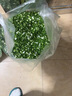 FEST切蔥花機切菜機商用小米辣大蔥切圈神器切蔥花 蔬菜豆角韭菜切段 土豆胡蘿卜切片機 RC-F22不銹鋼旗艦款 可連續(xù)工作2小時 曬單實拍圖