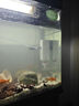 JCZS德國(guó)魚馬桶魚缸糞便分離器過(guò)濾器凈水循環(huán)三合一氧氣泵制氧一體機(jī) 28W【強(qiáng)勁吸糞/魚便分離】AQ-2000F 曬單實(shí)拍圖