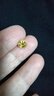 周大生黃金耳釘女足金耳飾5G小銅錢(qián)耳釘七夕情人節禮物送女友 0.95g 曬單實(shí)拍圖