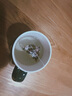干桃花茶排泡水喝宿桃花水優(yōu)選新花便女士養生花草茶包營(yíng)自店旗艦 桃花茶 共發(fā)100包（獨立三角包） 曬單實(shí)拍圖