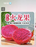 紅心火龍果金都一號(hào)當(dāng)季新鮮應(yīng)季水果整箱火龍果3/5大果海南特產(chǎn) 老農(nóng)親選400克+送禮佳品 5斤（JD快遞送貨上門） 曬單實(shí)拍圖