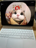 閃魔（SmartDevil）2025妙控鍵盤懸浮磁吸iPad air7/6/11/13/Pro 英寸蘋果藍(lán)牙鍵盤LED藍(lán)牙數(shù)顯air5/4保護(hù)套 【妙控鍵盤】iPad秒變Mac-白色 【iPad ai 曬單實(shí)拍圖