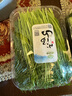 小湯山 有機油菜 約250g 有機蔬菜當天采摘北京農場(chǎng)順豐到家 曬單實(shí)拍圖