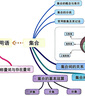 【2025旗艦店官方正版】高中知識大盤(pán)點(diǎn)思維導圖 張老師雪峰名師推薦學(xué)之舟早起5分鐘速記高中高考基礎知識復習難點(diǎn)通用必背知識點(diǎn)匯總 高一高二高三數學(xué)語(yǔ)文英語(yǔ)物理化學(xué)大全 輔助資料旗艦店 【單本/數學(xué)】 曬單實(shí)拍圖