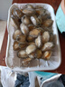 新鮮鮑魚肉活鮑現(xiàn)剝純?nèi)馊パ廊と?nèi)臟真空包裝火鍋食材順豐 26-40只/ 500g(凈重)  一斤裝 曬單實拍圖