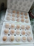 雙黃蛋生鮮雞蛋雙黃雞蛋送禮品生鮮蛋大個現(xiàn)撿現(xiàn)發(fā) 雙黃雞蛋10枚【69-76克/枚】大蛋 曬單實拍圖