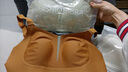 杰麗·莫克（Jerrie Mock）薄款無(wú)痕內(nèi)衣女文胸大胸顯小兔耳朵收副乳防下垂大碼CD杯調(diào)整胸罩 單文胸-焦糖色 M （建議75BCD） 曬單實(shí)拍圖