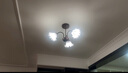 燈將美式吊燈客廳餐廳燈法式中古復古臥室燈房間飯廳吸頂燈具花朵玻璃 3頭 送 （全光譜護眼）三色 曬單實拍圖