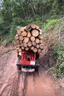 華信興邦爬山虎履帶車(chē)液壓自卸履帶運(yùn)輸車(chē)全地形果園農(nóng)用爬山王適用范圍廣 配件/定制/咨詢 曬單實(shí)拍圖