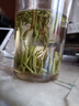 禾尚熙漢中仙毫綠茶2025新茶嫩芽春茶陜南綠茶西鄉午子山明前茶葉125g 曬單實(shí)拍圖