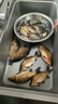 光威（GW）10米玄霸本流炮竿大28調(diào)長節(jié)足尺超硬魚桿手竿傳統(tǒng)釣草洞釣魚竿 曬單實拍圖