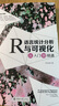 R語言統(tǒng)計(jì)分析與可視化從入門到精通 曬單實(shí)拍圖