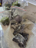 森悠(SARYOR）魚缸造景珊瑚石頭貝殼藍砂水族箱造景底砂玻璃砂 酸洗青龍石 500克（大小精選發(fā)貨） 曬單實拍圖