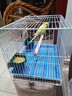 鳥籠鸚鵡籠子小中大型鴿子籠家用虎皮玄鳳專用窩帶喂食器鳥類用品 中號【40*30*30】食盒+站桿+托盤 大容量鳥類通用籠 折疊免安裝方便收納 1cm加密防鉆防卡 曬單實(shí)拍圖
