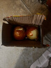 仙果春天原產(chǎn)地黃皮洋蔥新鮮蔬菜特產(chǎn)館直發(fā) 1斤 500g 曬單實拍圖