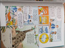 英文原版 24 Hours in a Zoo 精裝 動物園的24小時 尤斯伯恩 Usborne  少兒科普繪本圖畫書 綠山墻 . 曬單實拍圖