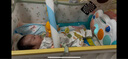 澳貝（auby）嬰幼兒童玩具健身架腳踏鋼琴0-1歲新生兒禮盒用品滿(mǎn)月生日禮物 【自用推薦】森林派對音樂(lè )健身架 曬單實(shí)拍圖