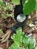 祎琳（yilin）LED射樹燈照樹燈戶外公園插地?zé)艟坝^綠植地插投射燈防水插泥射燈 5W/7W斜口地插款暖光 曬單實拍圖