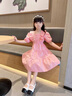 G.duck女童連衣裙夏裝2026新款夏天兒童洋氣公主裙夏季女孩純棉裙子大童 粉色 140碼身高130-140cm9-10 曬單實(shí)拍圖