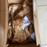 宜家（IKEA）POKAL博克爾加厚鋼化玻璃杯家用透明大容量耐熱果汁杯 淺藍色杯子350毫升 曬單實(shí)拍圖