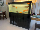 老漁匠中大型酒店辦公室客廳專(zhuān)業(yè)底濾立式落地帶柜一體龍魚(yú)缸全套可定制 玄武黑-專(zhuān)業(yè)版【專(zhuān)業(yè)魚(yú)缸燈 到手養魚(yú)】 153x68x160cm 曬單實(shí)拍圖