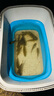 佳釣尼（JIADIAONI）咬鉤變色夜光漂日夜兩用電子漂醒目高靈敏鯽魚(yú)漂硬尾浮漂1-3 曬單實(shí)拍圖