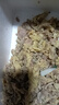 【順豐鮮羊肉】去骨羊肉原切全羊肉后腿羊肉生羊肉羊腿肉羔羊 去骨羊肉【10斤】 曬單實(shí)拍圖