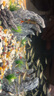 云舵小米智能魚(yú)缸珊瑚景水草造景套裝全套擺件布景美人魚(yú)南美風(fēng)生態(tài) 米缸景：假山4 -不含魚(yú)缸 曬單實(shí)拍圖