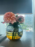 傲石 水養(yǎng)玻璃花瓶擺件客廳插花干花透明北歐現(xiàn)代簡約輕奢ins風格餐桌 灰琥珀三件套 曬單實拍圖