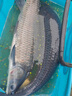 60-75CM超長(cháng)電子夜光漂筏釣流氓漂行程魚(yú)漂黑坑深水翹嘴大物浮漂 超長(cháng)夜光漂L-02【長(cháng)60CM吃鉛1.8克】 普通尾不變色 曬單實(shí)拍圖
