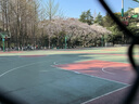 耐克NIKE 男G.T CUT 3 男子ZOOMX蛇年限定籃球鞋HV5977-102大學(xué)紅40.5 曬單實(shí)拍圖