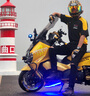 未來(lái)之眼星際X80摩托車(chē)射燈電動(dòng)車(chē)燈led強(qiáng)光超亮遠(yuǎn)近激光透鏡前大燈爆閃 星際X80【近黃遠(yuǎn)黃】汽車(chē)級(jí)切線(xiàn) 曬單實(shí)拍圖