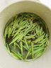 拜將壇2025新茶現貨漢中午子仙毫陜西特產(chǎn)高山雀舌綠茶葉特級散茶 仙毫東方茶特級T3罐裝100g 曬單實(shí)拍圖