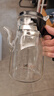 金灶（KAMJOVE）彈壓式茶水分離飄逸杯大容量家用耐熱玻璃泡茶壺長(zhǎng)壺嘴過濾泡茶器 【出水流暢】K-208泡茶壺 900ml 曬單實(shí)拍圖