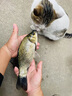 客友釣具客友擒龍刃極輕綜合竿超輕超硬釣魚(yú)竿輕量臺釣竿魚(yú)竿手竿鯽魚(yú)竿 5.4m 【極輕綜合竿 硬挺好拋投】 曬單實(shí)拍圖