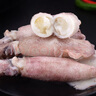 新鮮海兔子滿(mǎn)籽海捕速凍全籽烏賊筆管魚(yú)墨魚(yú)仔海鮮籽烏海兔子 滿(mǎn)籽海兔子4斤裝 曬單實(shí)拍圖