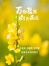 老北京布鞋女夏季軟底工作鞋黑色酒店上班鞋平底媽媽鞋舞蹈布鞋 黑色 橡膠底片更防滑 38 曬單實(shí)拍圖